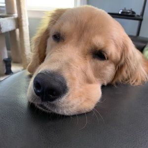 Meet your Posher, Mark